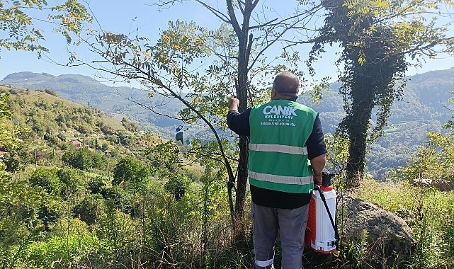 Canik Belediyesi'nden Kokarca Zararlısına İlaçla Müdahale