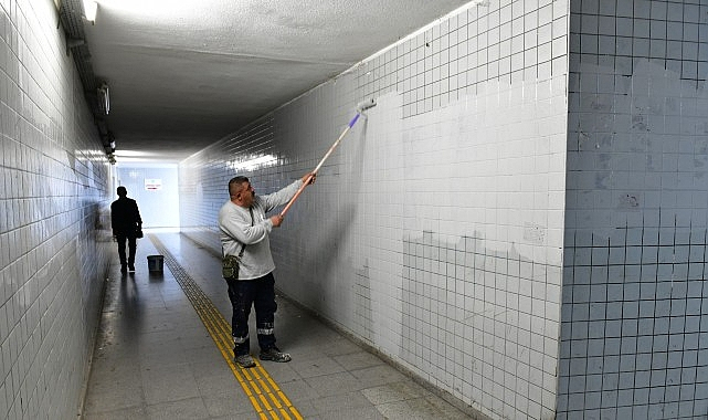 Çiğli'de sonbahar bakımı: Ağaçlar budanıyor, kent güzelleşiyor