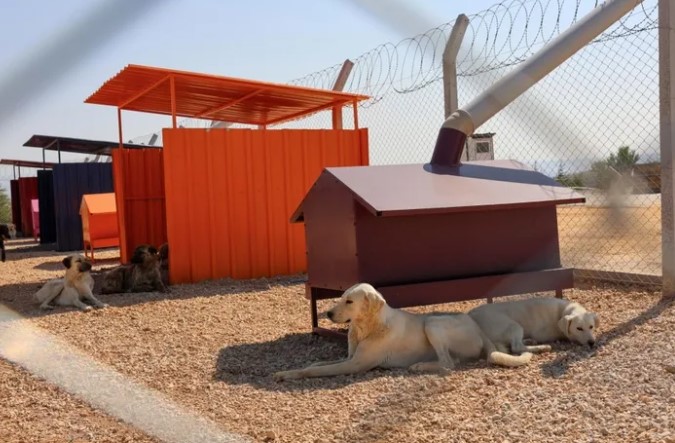 Doğal Sit Alanlarında Hayvan Bakımevleri İçin Yeni Düzenleme